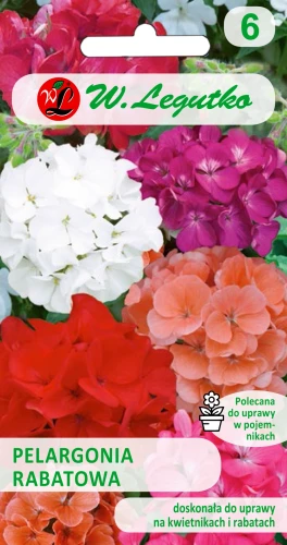 Pelargonia-rabatowa-mieszanka.webp