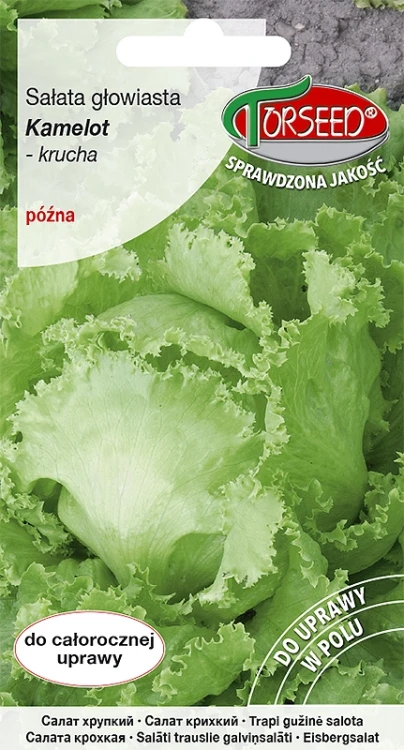 salata-kamelot.webp