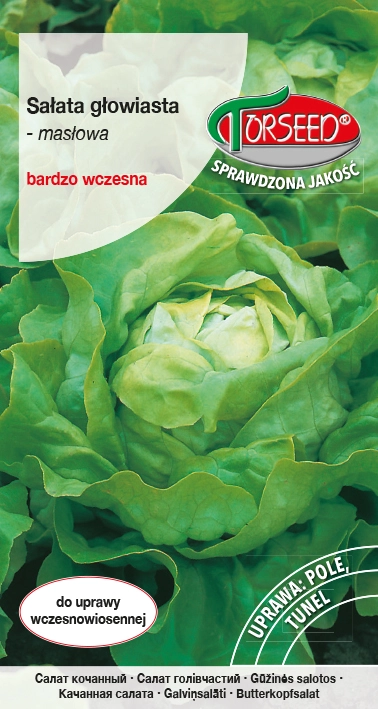 Sałata-głowiasta-Bona.webp
