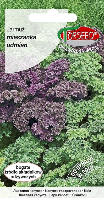 jarmuz-mieszanka.webp