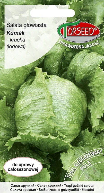 salata-kumak.webp