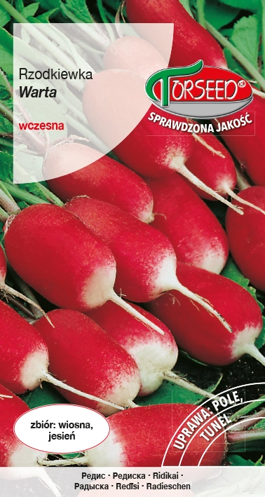 Rzodkiewka-Warta.webp