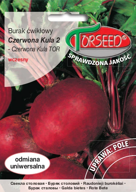 Burak-ćw.-Czerwona-Kula-2.webp