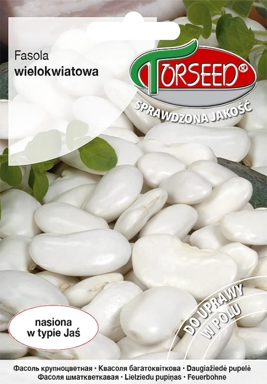 fasola-wielokwiatowa-Kontra.webp