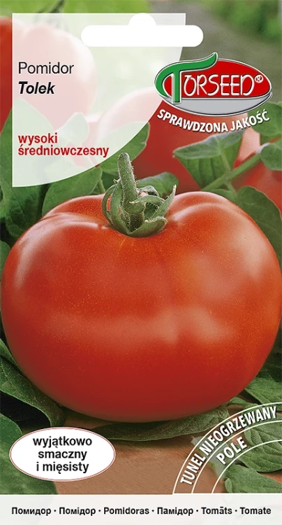 pomidor-tolek.webp