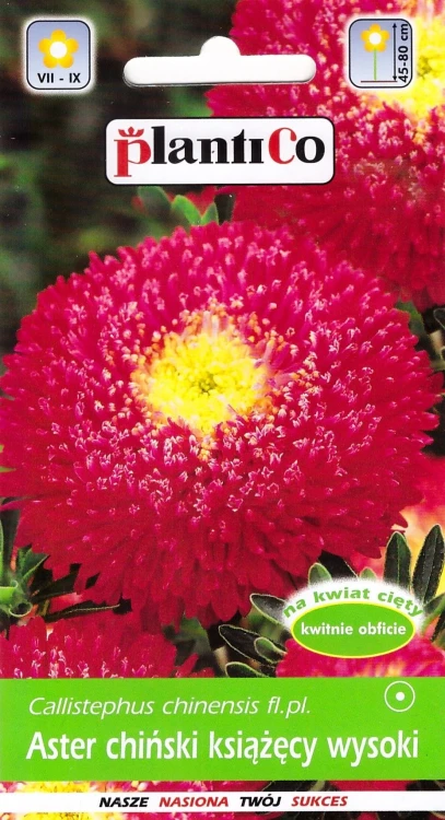 aster-książęcy-czerwony.webp