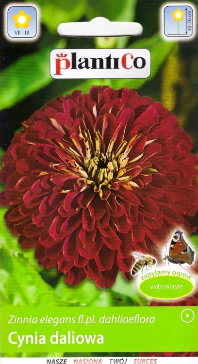 cynia-burgund.webp