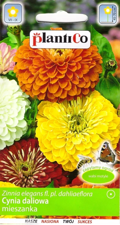 cynia-daliowa-mix.webp