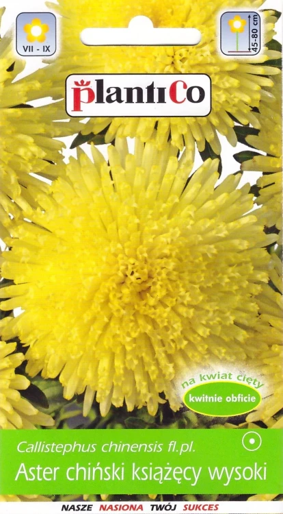aster-książęcy-żółty.webp