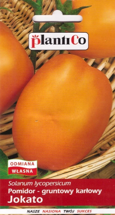 pomidor-jokato.webp