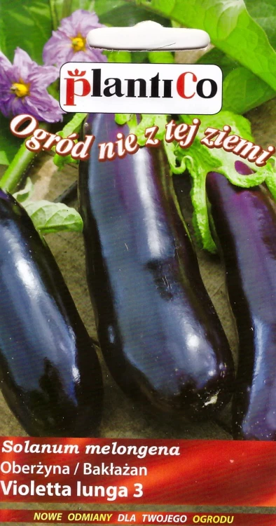 oberżyna-violetta-lunga.webp