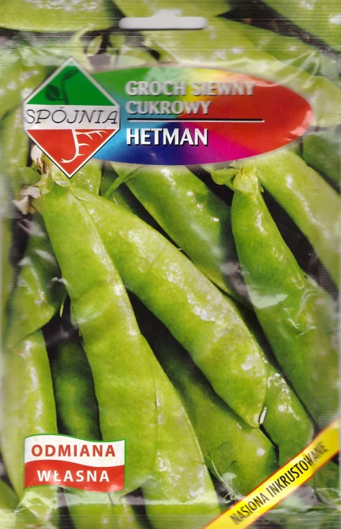 groch-hetman.webp