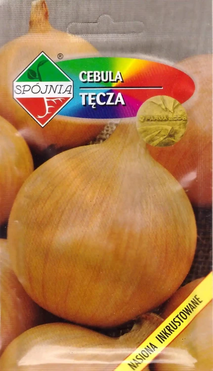 cebula-tęcza.webp