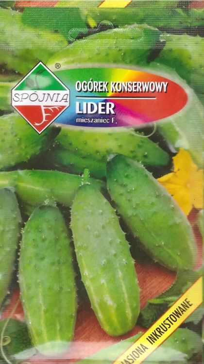 ogórek-lider.webp