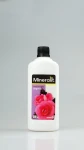 begonia.webp