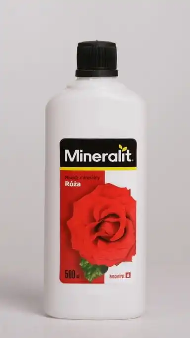 róża.webp