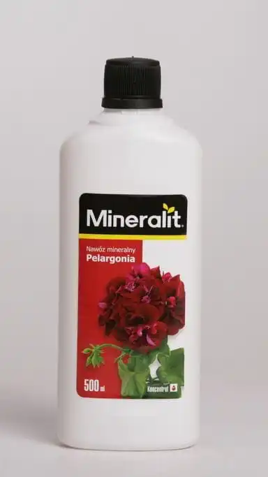 pelargonia-0_5l.webp