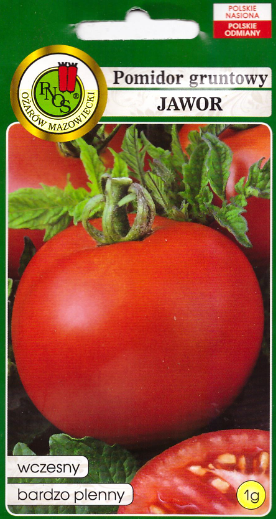 pomidor-jawor.webp