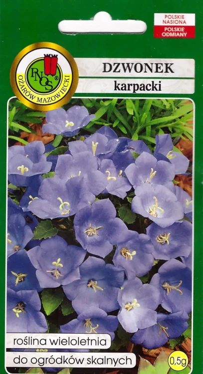 dzwonek-karpacki-niebieski.webp