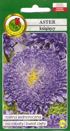 aster-książęcy-niebieski.webp