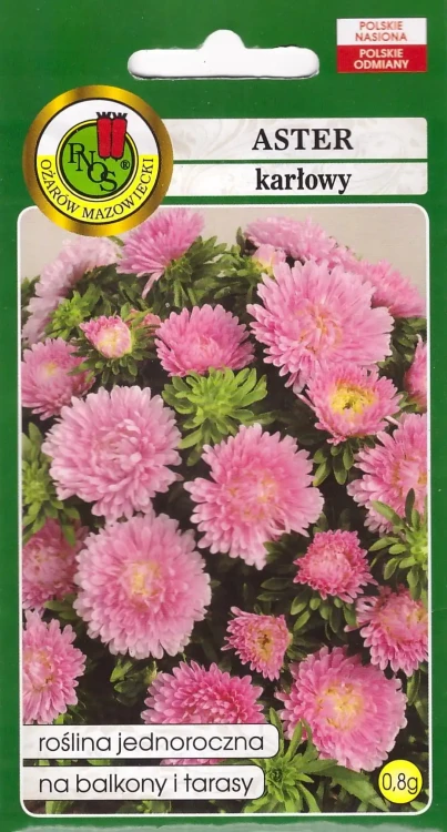 aster-skrzat.webp