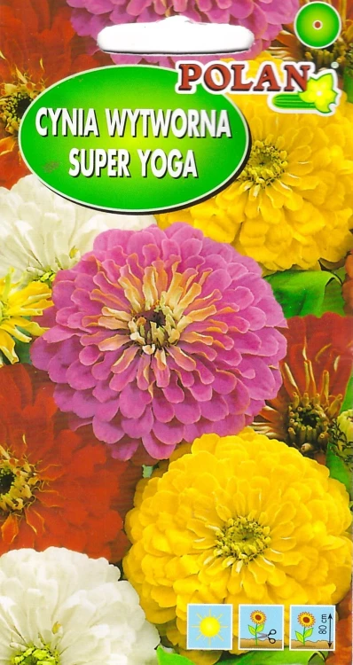 cynia-super-yoga.webp