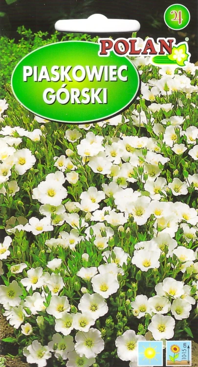 piaskowiec-górski.webp