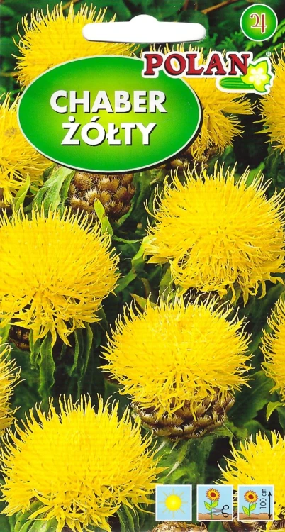 chaber-żółty.webp