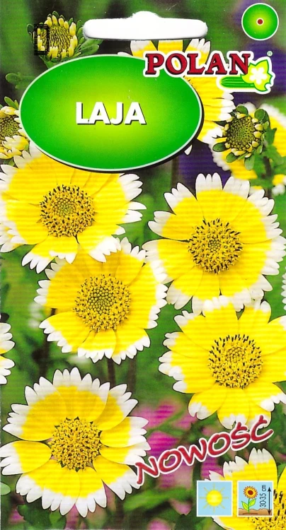 laja.webp