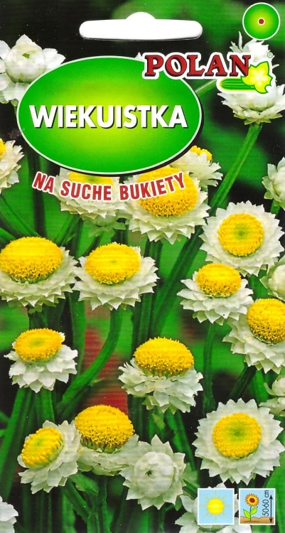 wiekuistka.webp