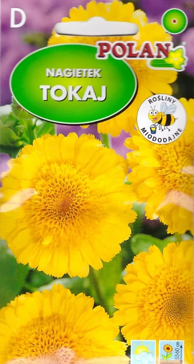 nagietek-tokaj.webp