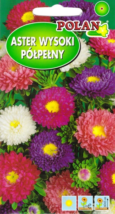 aster-wysoki-półpełny.webp