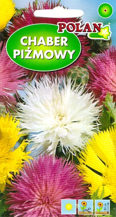 chaber-piżmowy.webp