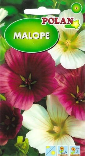 malope.webp