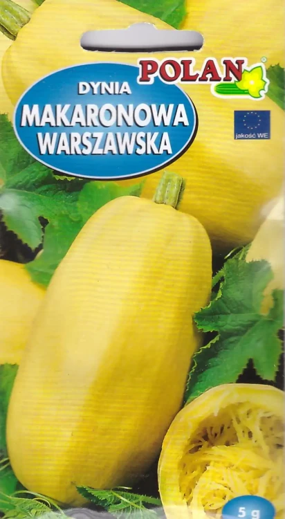 dynia-makaronowa-warszawska.webp