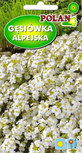 gęsiówka-alpejska-biała.webp