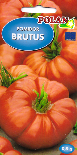 pomidor-brutus.webp