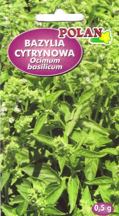 bazylia-cytrynowa.webp