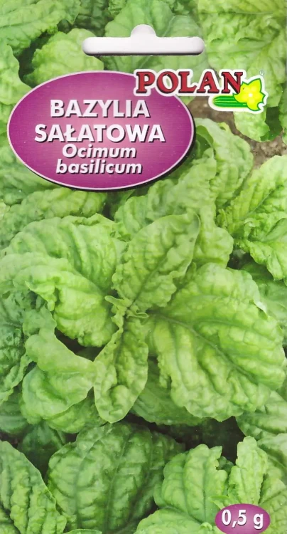 bazylia-sałatowa.webp