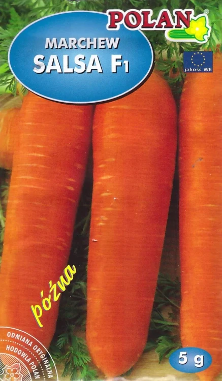 marchew-salsa.webp