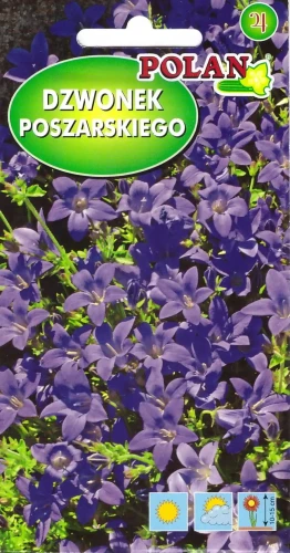 dzwonek-poszarskiego.webp
