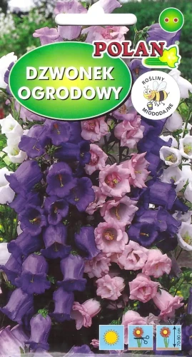 dzwonek-ogrodowy.webp