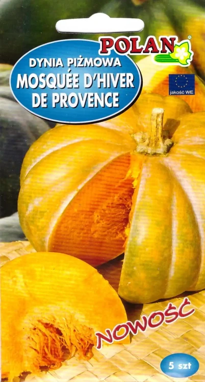 dynia-mosquee-dhiver-de-provence.webp