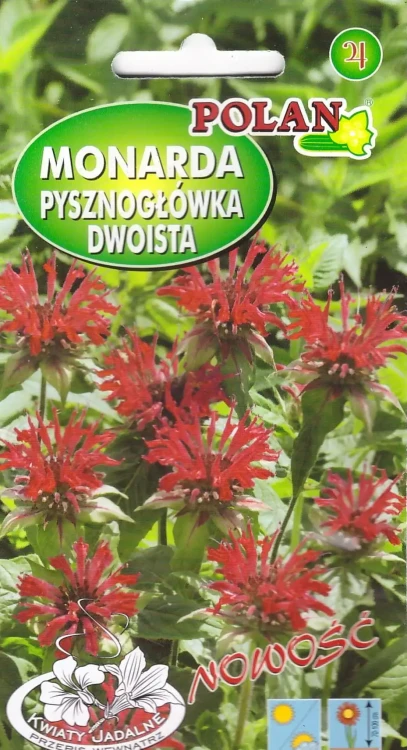 monarda-dwoista.webp
