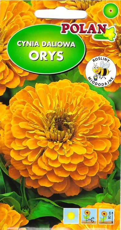cynia-orys.webp