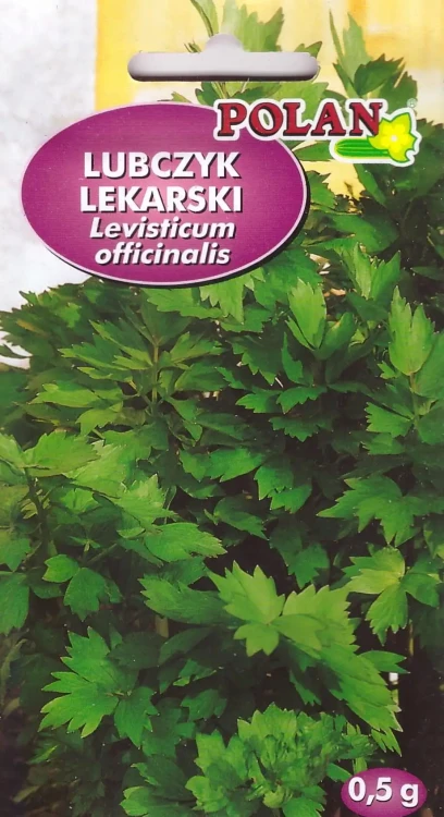 lubczyk-lekarski.webp
