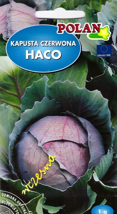 kapusta-haco.webp