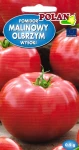 pomidor-malinowy-olbrzym.webp