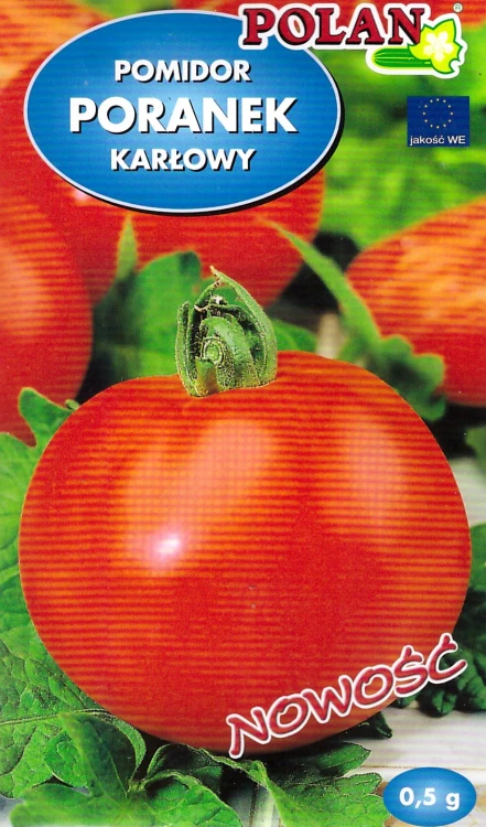 pomidor-poranek.webp