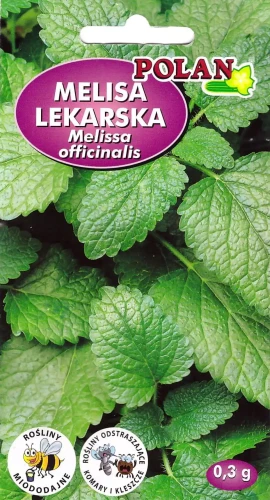 melisa-lekarska.webp